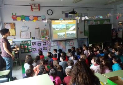 Talleres y carrera solidaria en el CEIP El Quijote