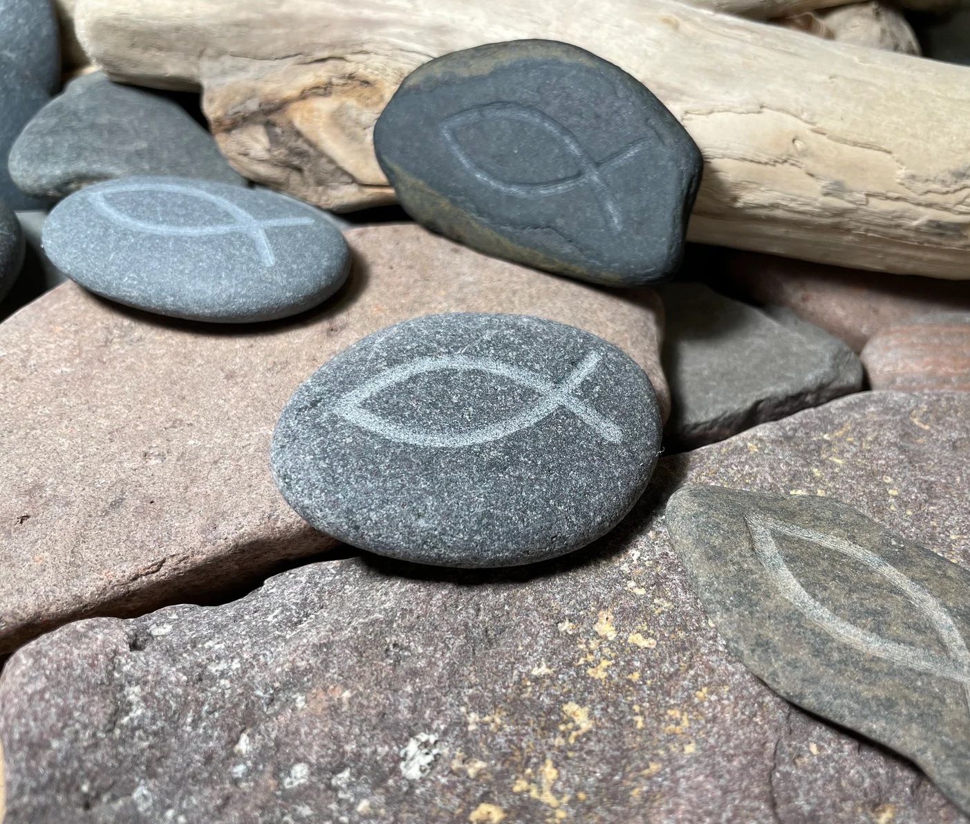 Eucaristía de Envío de Educadores. Curso 2024-2025 